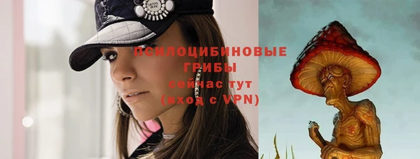 бошки Армянск