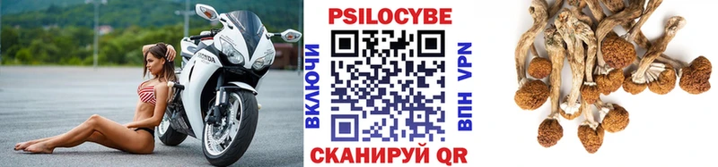 дарнет шоп  Армянск  Галлюциногенные грибы мицелий 